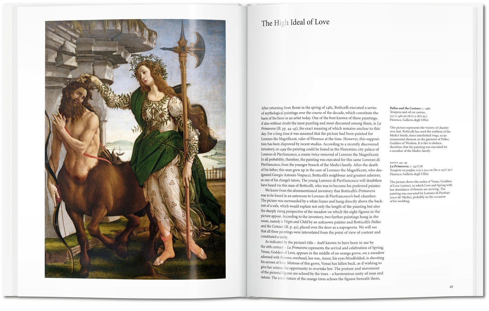 Botticelli | Die sinnträchtige Qualität der Linie - Broschur