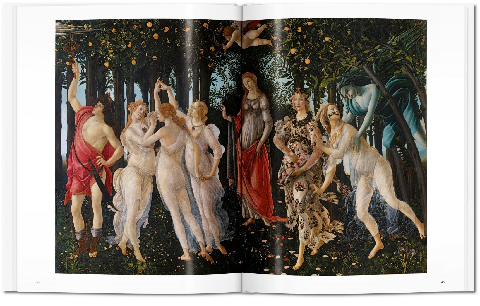 Botticelli | Die sinnträchtige Qualität der Linie - Broschur